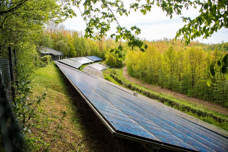 Solar Panels Forest Meadow - Gruendercoach / Pixabay